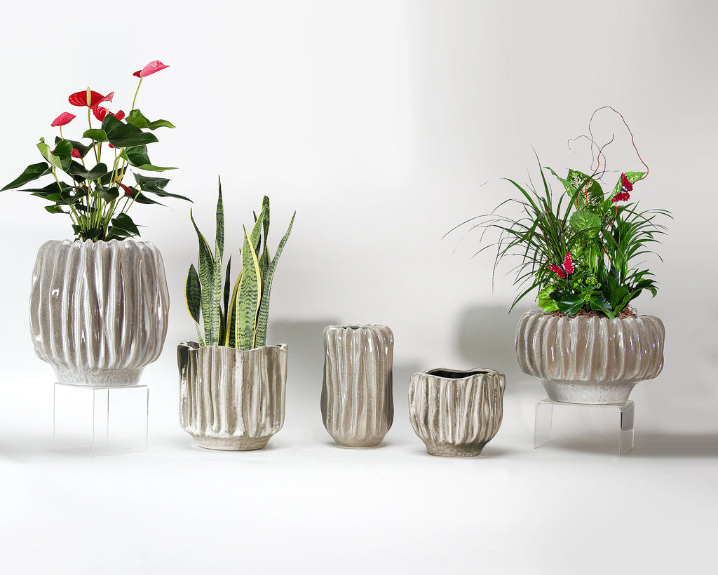 Ridged Ceramic Collection