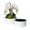 Tropical Accent Low Planters