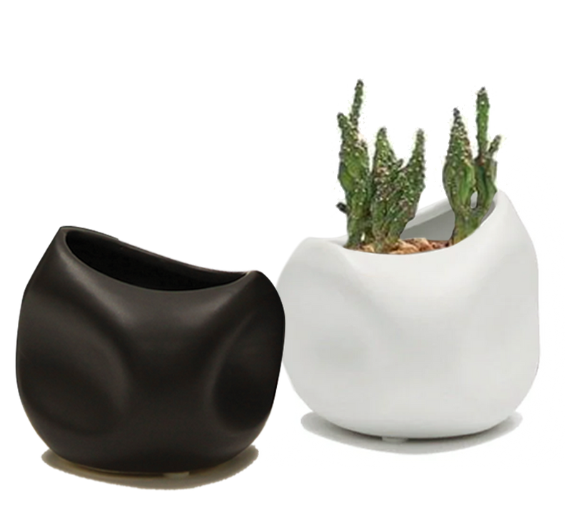 Organic Collection Vases